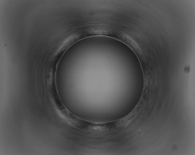 X0000091540163200708241741