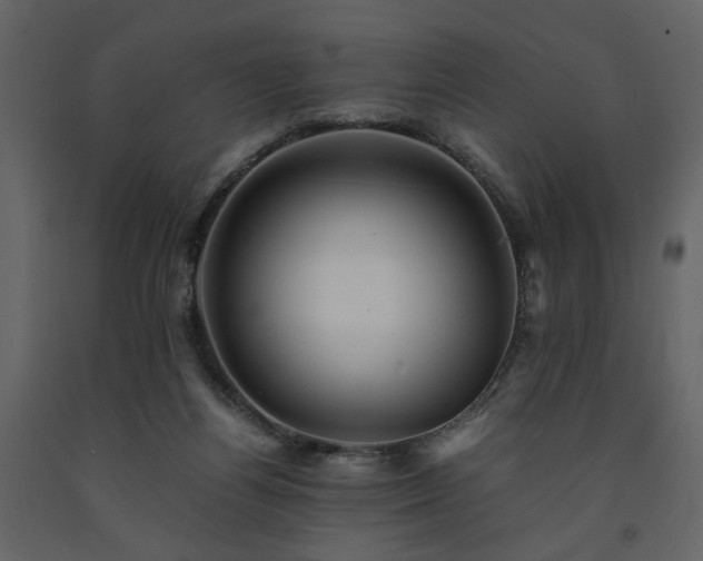 X0000091540164200708241741