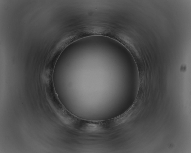X0000091540167200708241741