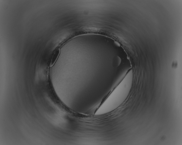 X0000091540168200708241741