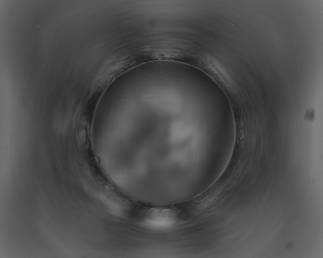 X0000091540169200708241742