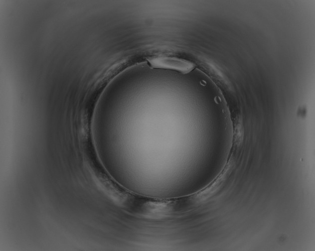X0000091540170200708241742