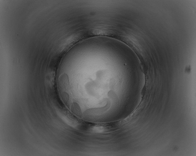 X0000091540171200708241742