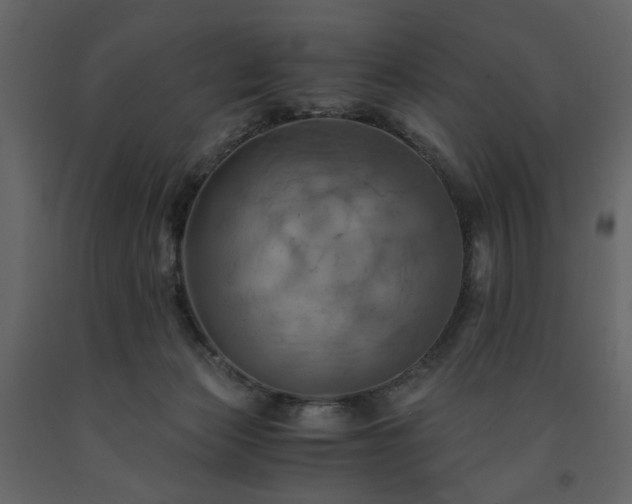 X0000091540173200708241742