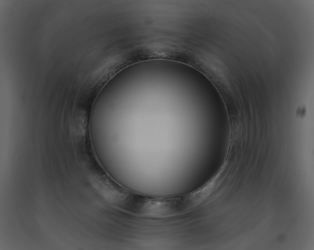 X0000091540174200708241742