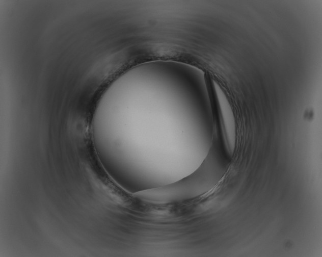 X0000091540176200708241742