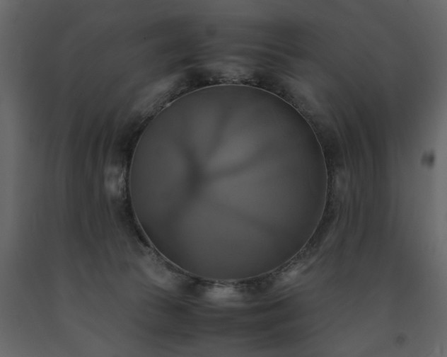 X0000091540177200708241742