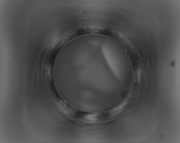 X0000091540178200708241742
