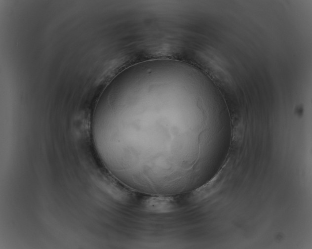 X0000091540179200708241742
