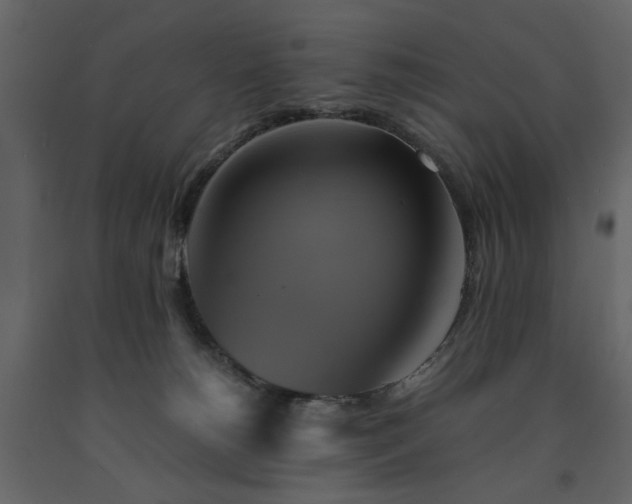 X0000091540180200708241742