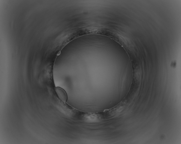 X0000091540181200708241742