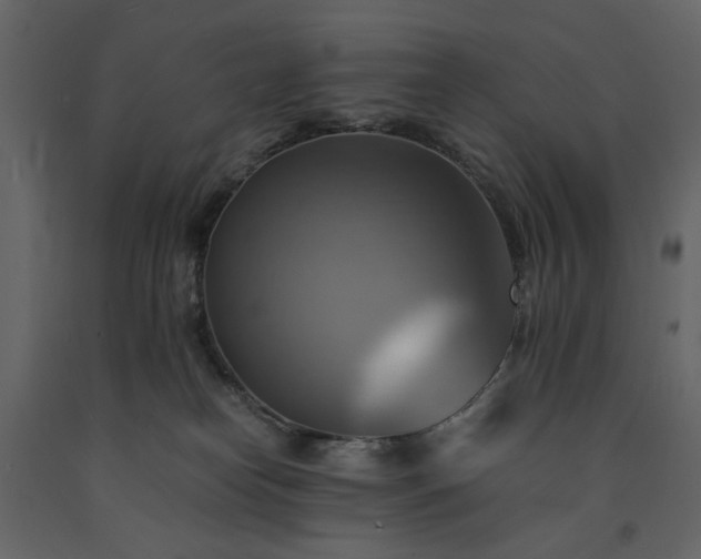 X0000091540182200708241742