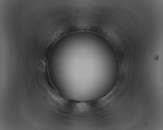 X0000091540183200708241742