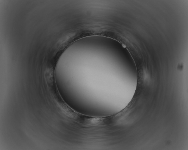 X0000091540184200708241742