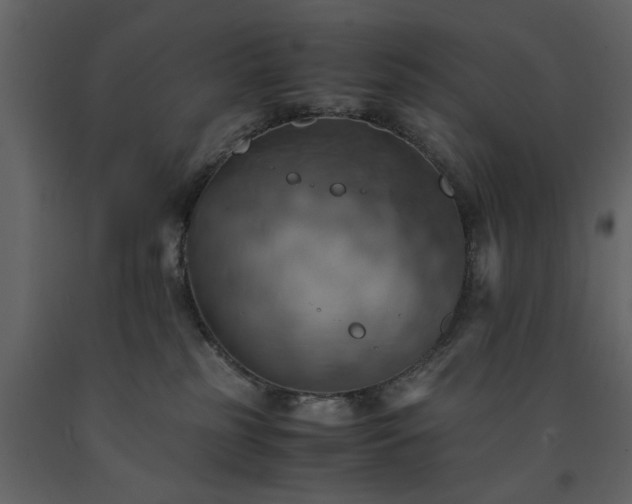 X0000091540185200708241742