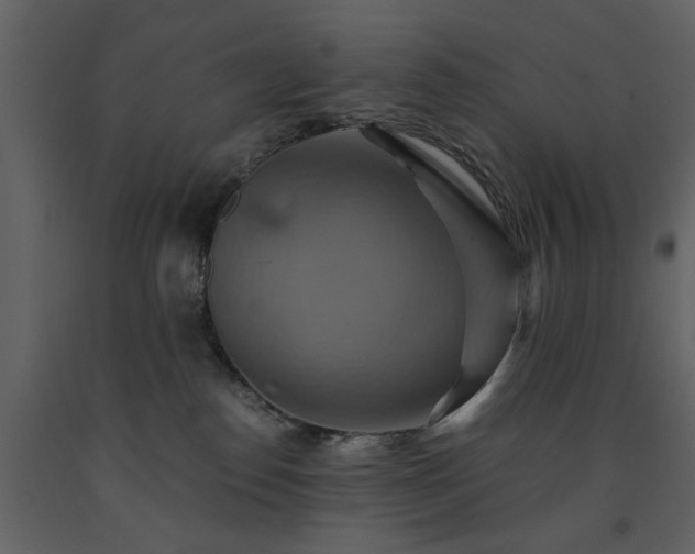 X0000091540186200708241742