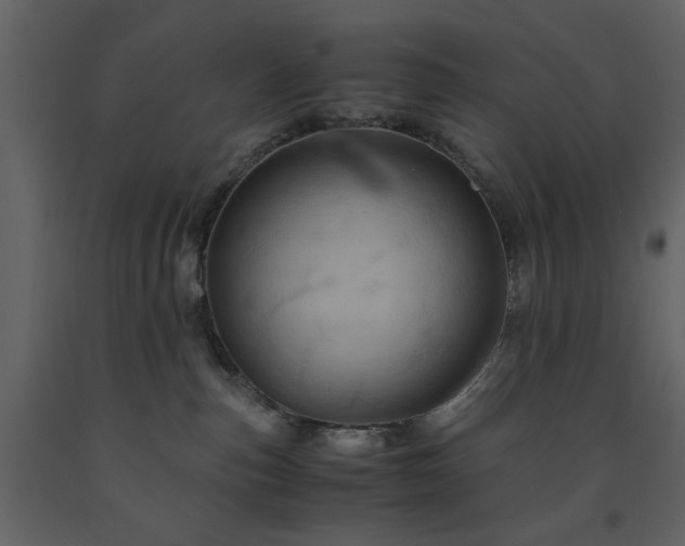 X0000091540187200708241742