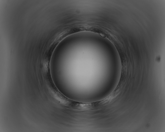 X0000091540188200708241742
