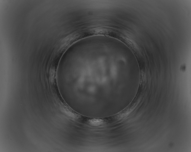 X0000091540189200708241742