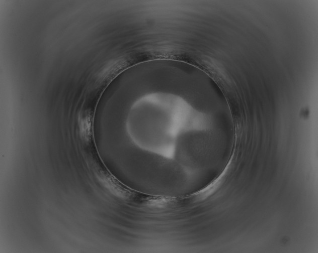 X0000091540190200708241742