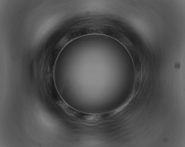 X0000091540191200708241742