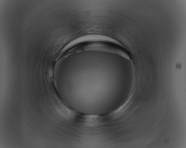 X0000091540192200708241742