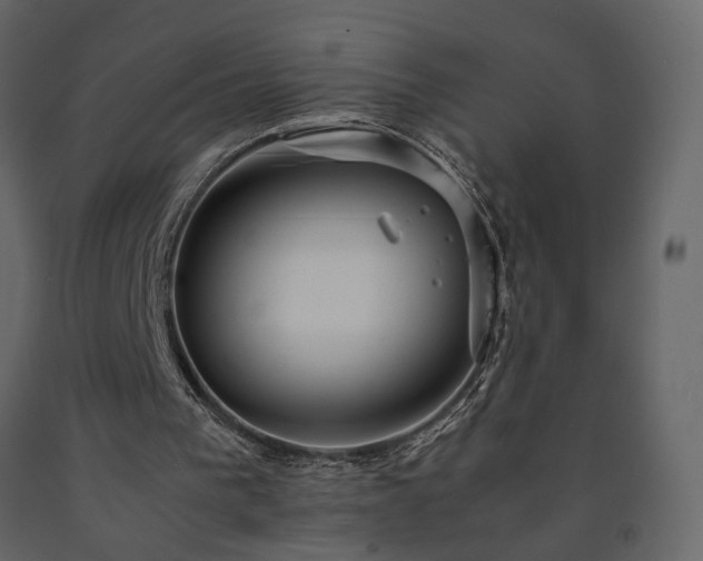 X0000091540193200708241741