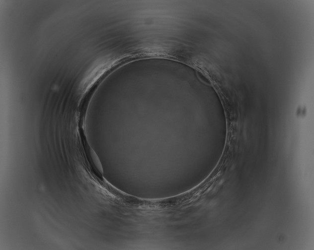 X0000091540194200708241741