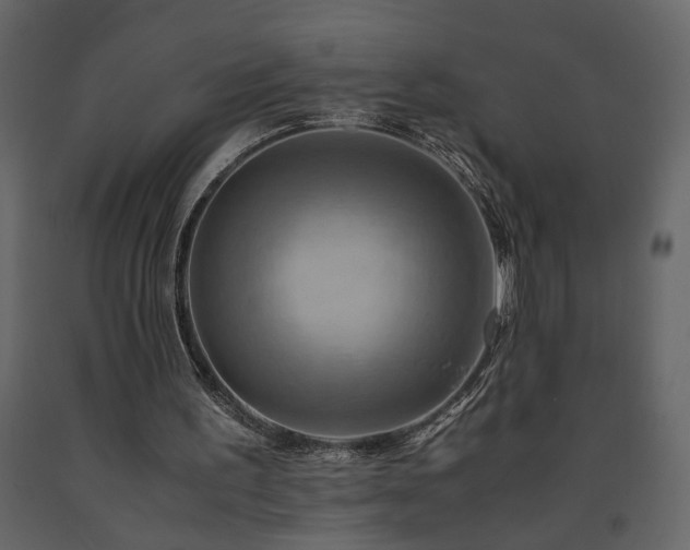 X0000091540195200708241741