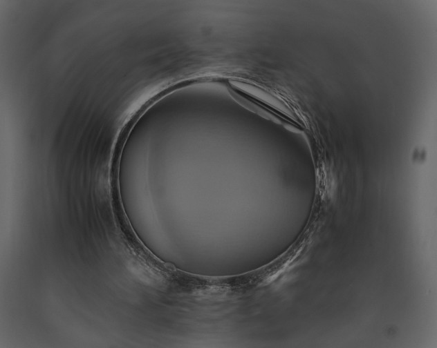 X0000091540196200708241741