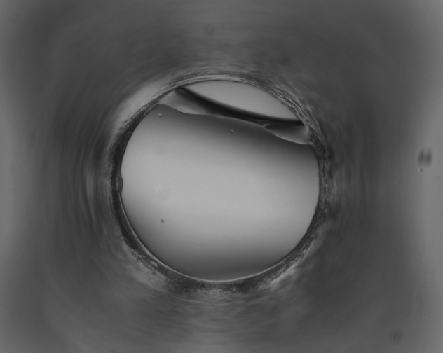 X0000091540197200708241741