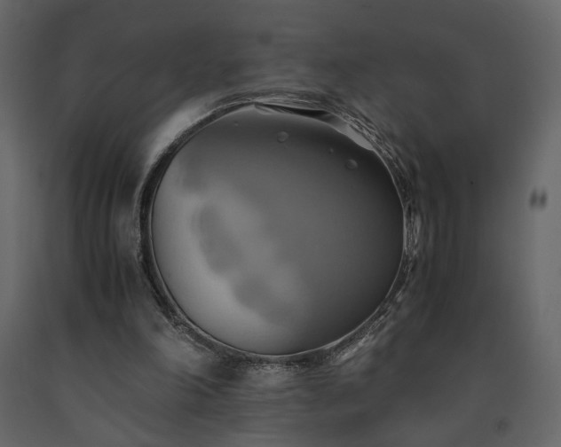 X0000091540198200708241741