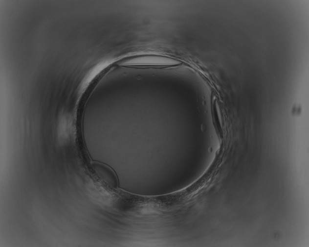 X0000091540200200708241741