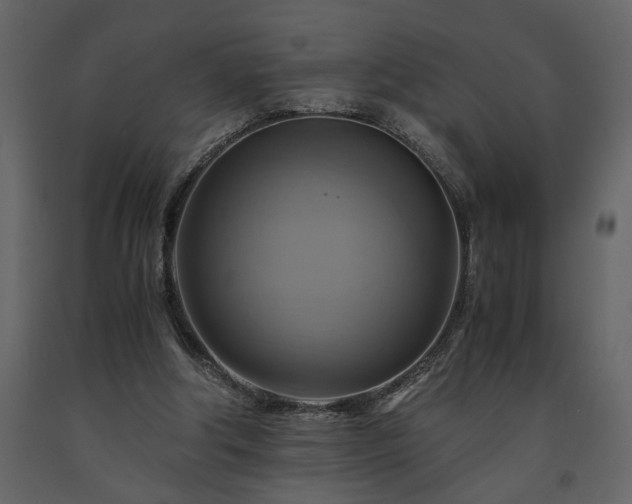 X0000091540202200708241741