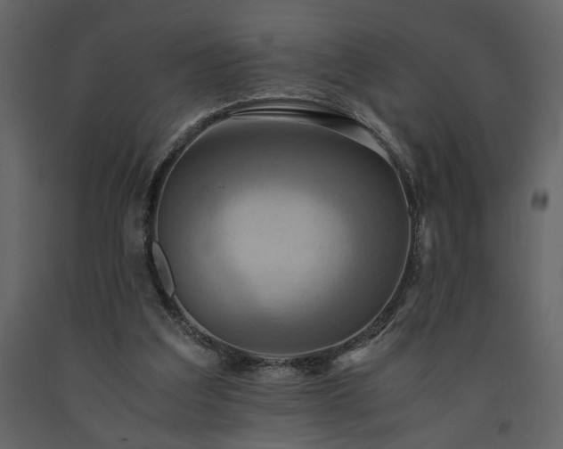 X0000091540203200708241741