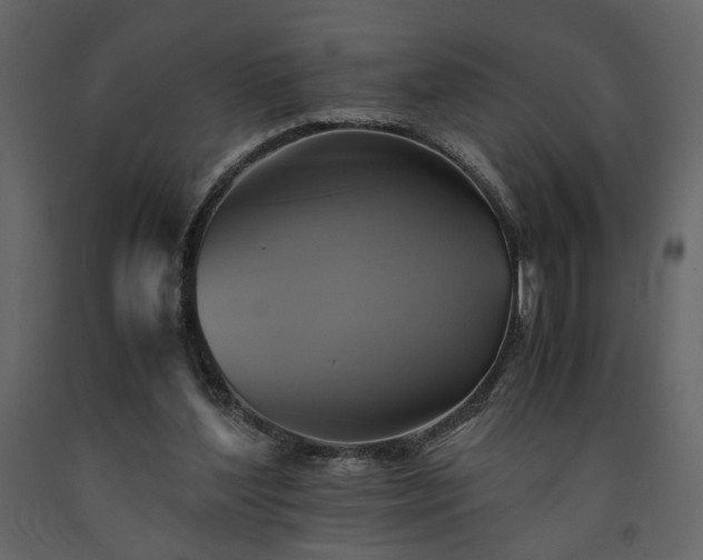 X0000091540204200708241741