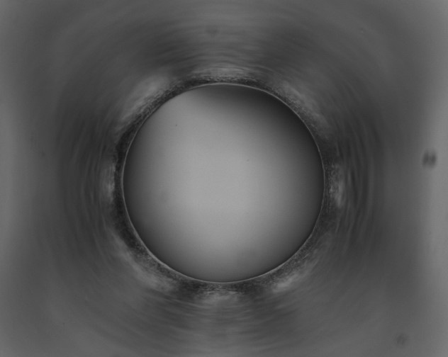 X0000091540206200708241741