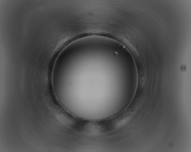 X0000091540207200708241741