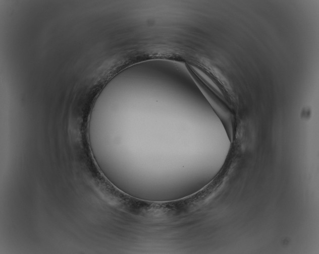 X0000091540209200708241741