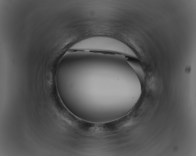 X0000091540211200708241741