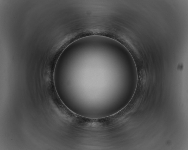 X0000091540212200708241741