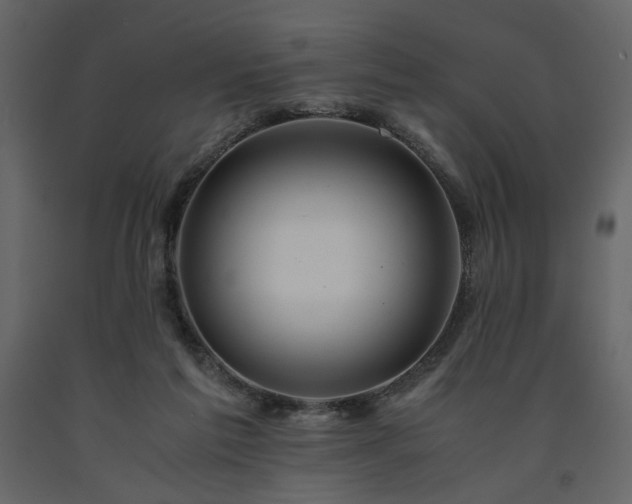 X0000091540213200708241741