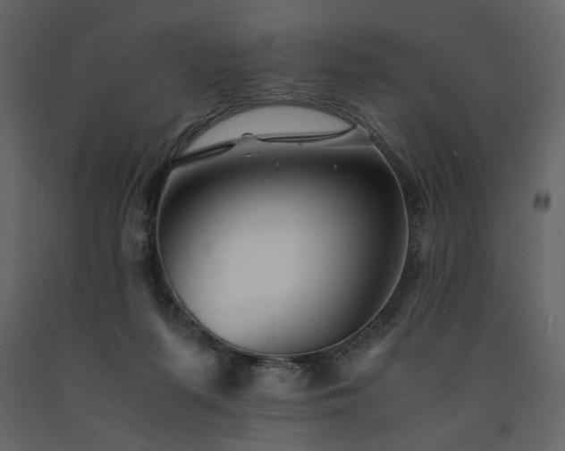X0000091540215200708241741