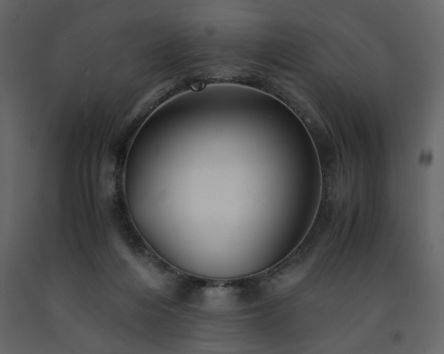 X0000091540216200708241741