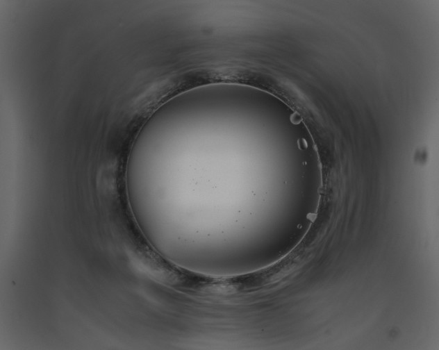 X0000091540217200708241741