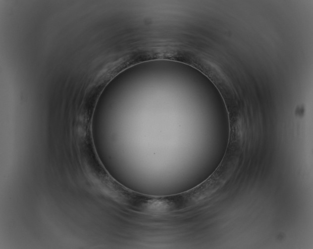 X0000091540218200708241741