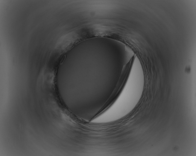 X0000091540219200708241741
