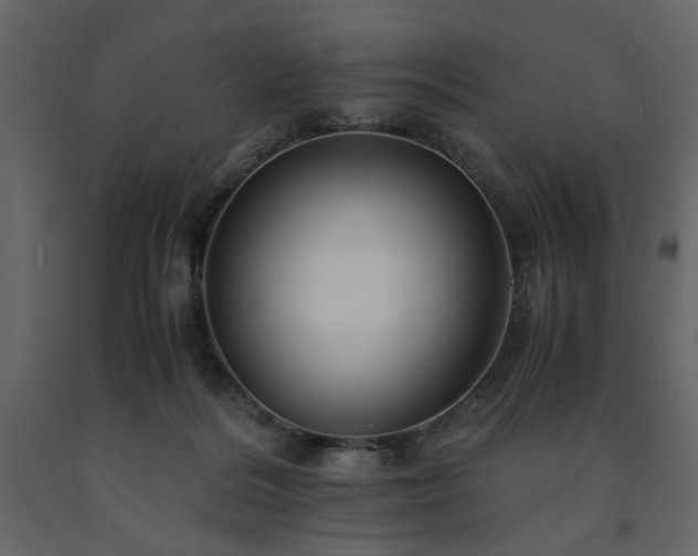 X0000091540220200708241741