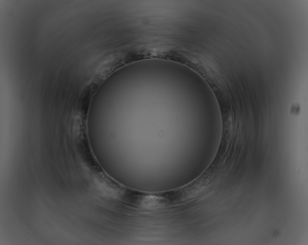 X0000091540222200708241741