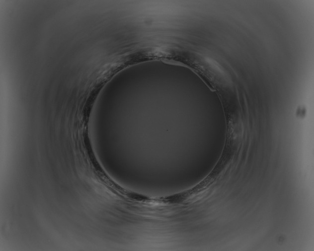 X0000091540223200708241741